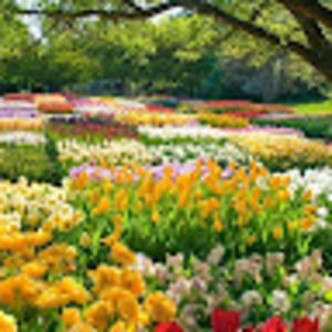 Meet your Posher, Andy